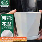 寿禾 花盆家庭园艺盆栽绿萝多肉发财树种植盆 木里盆小号-浅灰