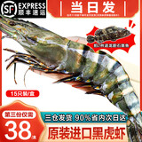 海泽鲜 越南黑虎虾原装进口超大特大号大虾 巨型老虎虾海虾对虾生鲜虾类 特大15只- 800g(净重)  长18-20cm