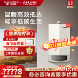 史密斯（A.O.SMITH）燃气壁挂炉【门店爆款】LL1GBQ-E10 天然气家用采暖热水两用壁挂炉 一级能效冷凝锅炉 （定金） 33KW 务必咨询客服有优惠 同城官方门店服务 务必咨询客服享优惠