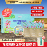 田野牧蜂2025年新浆 青海鲜蜂王浆高原蜂皇浆纯浆天然营养蜂初乳优等品 【独立小包装:共400g】赠品160g蜂蜜