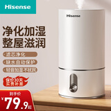 海信（Hisense）加湿器卧室家用办公桌面4L大容量空气加湿器孕妇婴儿低噪大雾量迷你空调加湿伴侣香薰净化一体机 标准款【旋钮+净化滤芯】SGL220-JN01