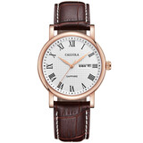 卡罗莱男士手表石英表休闲简约商务双日历皮带男表学生防水超薄腕表 金白