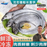 沈志雄船长福建东山岛澳角村海鲜海钓大带鱼带鱼段刀鱼年货年夜饭送礼 1条1.5-1.7斤分段包装