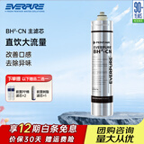 爱惠浦（Everpure）家用净水器一体机净水器滤芯主滤芯 BH2-cn主滤芯
