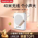 得胜（TAKSTAR）E300mini 无线小蜜蜂扩音器教师专用 蓝牙户外导游喇叭讲解员讲课音箱 白色