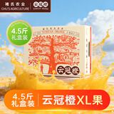 云冠橙4.5斤装褚橙官方正品云南冰糖橙当季新鲜水果礼盒原产地橙子 4.5斤XL果