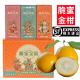 觅式广西融安脆蜜金柑第三代金桔韦依滑皮脆皮金橘新鲜水果生鲜礼盒 脆蜜3.6斤-果王1号（ 45-52g/颗）