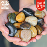 寿禾 鹅卵石石头大块水族箱鱼缸盆栽装饰铺路 2-4cm天然精抛鹅卵石1kg