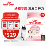 皇家幼猫猫粮 幼猫奶糕 K36 通用粮 4-12月 10KG