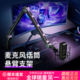 VIJIM 【优篮子】LS24麦克风支架悬臂话筒桌面电容麦克风ipad支架俯拍直播K歌录音主播相机拍照懒人支架 LS24支架+减震架（适用20-21MM螺口麦克）