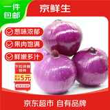 京鲜生云南紫皮洋葱 净重9斤 带皮洋葱头 新鲜蔬菜 紫皮大圆葱 源头直发