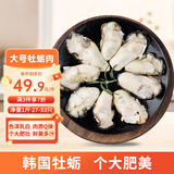 美加佳 韩国大号冷冻牡蛎肉生蚝肉净重1斤 L码 27-33只 牡蛎 烧烤