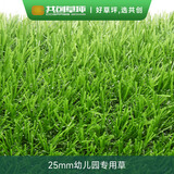 共创草坪共创人造仿真草坪25mm地毯假草皮幼儿园健身房商用足球场公园别墅