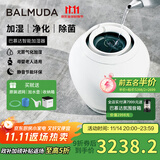 巴慕达（BALMUDA）【政府补贴】智能恒湿无雾加湿器银离子空气净化除菌母婴级认证卧室家用办公室空调落地式高端Rain ERN-1180SD-WK白色