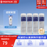 滨特尔（pentair） 净水器家用 前置10寸PP棉滤芯 简易更换 PP棉滤芯 10寸5μm通用 4只装