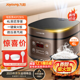 九阳（Joyoung）30分钟快煮饭大火力柴火饭4升家庭容量3~4人电饭煲电饭锅多功能微压焖煮方煲F-40FZ815