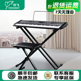 Ringway吟飞61键电子琴初学者 成年入门 儿童考级幼师 专业家用便携TB100 TB100银灰色电子琴+X琴架+X琴凳