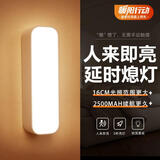 心有所属人体感应灯充电磁吸小夜灯卧室床头起夜灯家用氛围便携酷毙夜光灯