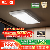 米家智能晾衣机2 Pro 【国家补贴】小米电动隐形晾衣架3D曲面穹顶灯