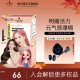 施华蔻（Schwarzkopf）斐丝丽泡泡染发剂 泡沫摩丝彩染上色快染发摩丝（新老装随机发） 【重磅新品】9.5-98西柚雾粉