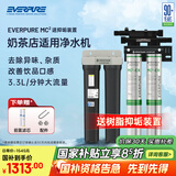 爱惠浦（Everpure）Freshdrink2-MC2双联净水器 商用奶茶咖啡店净水机净水器商用净饮机 MC2+20寸双滤瓶升级款