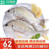 哆鲜生 活冻黄翅鱼 野外海捕黄鳍鲷黄脚立鱼 三去国产生鲜冷冻鱼类 2-3条/袋 净重400g