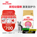 皇家猫粮 英短幼猫粮 BSK38 4-12月 10KG