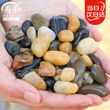 寿禾 溪流石造景装饰底砂水箱过滤养龟小石头 溪流石0.9-1.8cm2.5kg