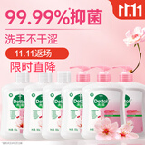 滴露（Dettol）洗手液滋润500g*6 抑菌洗手液家庭装大桶儿童消毒无酒精温和护手