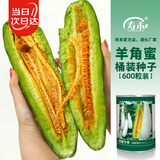 寿禾 羊角蜜种子苗脆甜水果甜瓜种籽 潍育寿甜9号羊角蜜种子600粒桶装