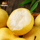 西域美农 陕西长安酥梨梨子 现摘早熟梨 时令生鲜新鲜水果整箱装 4.5斤 单果120g+