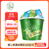 溜溜梅青梅分享桶460g西梅雪梅脆青梅果冻健康休闲零食团购礼包