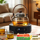 忆壶茶（YIHUTEA）蒸煮茶壶煮茶器玻璃泡茶壶电陶炉加热烧水壶家用围炉功夫茶具套装 【大功率】电陶炉+提梁壶 1000ml