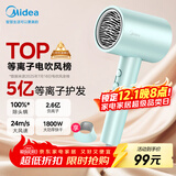 美的（Midea）5亿等离子护发电吹风 家电国家补贴吹风筒 1800W大功率 负离子吹风机 FJ308 节日/生日礼物推荐