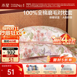 水星家纺枕套纯棉100%全棉秋冬磨毛加厚A类枕头套枕芯保护套一对装48x74cm