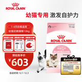皇家幼猫奶糕 幼猫猫粮 BK34 通用粮 1-4月 10KG