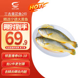 GUO LIAN国联三去黄花鱼2条共净重2斤宁德东海大黄鱼去鳞去鳃去内脏免处理