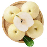 同甘园河北皇冠梨赵县特产新鲜水果冰糖雪梨当季水果梨子整箱白梨脆甜 精选好果 单果200g以上 净8.5斤