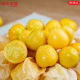 京地达菇娘果 灯笼果黄姑娘果甜菇凉 净重4.5斤单果3g+源头直发包邮
