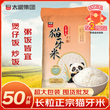 太粮猫牙米长粒米50斤 南方一级大米丝苗米 25kg 家庭装 批发囤货