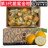 觅式广西融安脆蜜金柑第三代金桔韦依滑皮脆皮金橘新鲜水果生鲜礼盒 脆蜜2斤-果王1号（ 45-52g/颗）