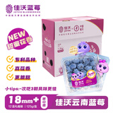 佳沃（JOYVIO）云南蓝莓甜蜜花香系列18mm+大果 12盒原箱装 约125g/盒 生鲜水果 