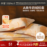 水星家纺枕套牛奶绒冬季双面保暖对枕套抗静电A类枕头罩一对装双人48x74cm