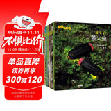 生命的故事 第3辑10册 萤火虫乌龟寄居蟹小丑鱼孑孓 3-6岁儿童昆虫科普高清实拍动物世界绘本百科全书 自然科学生命简史历程启蒙 《人民日报》推荐 