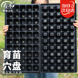 寿禾 穴盘育苗盆优质加厚多肉蔬菜种植钵 潍育育苗穴盘50孔5片