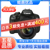 佳能/Canon 500D 600D 700D 800D 850D学生入门拍照摄像高清旅游 二手单反相机 95新 佳能650D/18-135  套机 标配