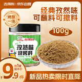 吉得利 孜然味烧烤料100g 淄博风味烧烤调料干碟烤肉火锅蘸料