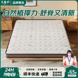 禾屋纪椰棕床垫硬棕垫1.8*2米宿舍托腰棕榈床垫家用榻榻米天然乳胶床垫 10CM/3D透气=6cm椰棕+2cm乳胶 折 900mm*2000mm