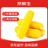 京鲜生东北黄糯玉米300g*8棒 甜黏玉米低脂早餐代餐粗粮真空装 源头直发
