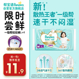 帮宝适[会员专享试用装]一级帮拉拉裤尿不湿尿片 超薄透气L+4 